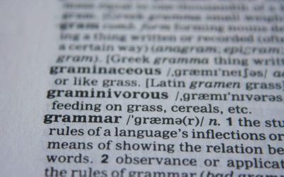 An Introduction to Universal Grammar