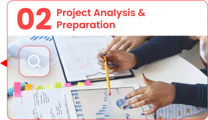 Project Analysis & Preparation