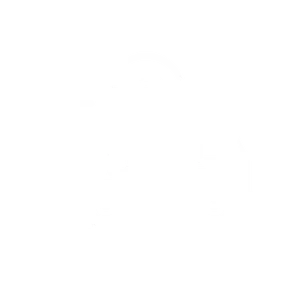 Delivery + Support<br />