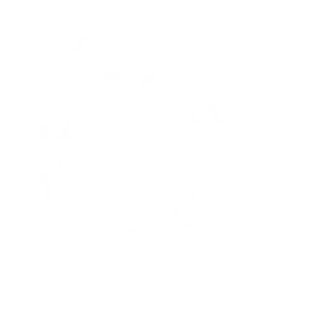 Discovery call<br />