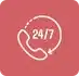 247 Dedicated Support